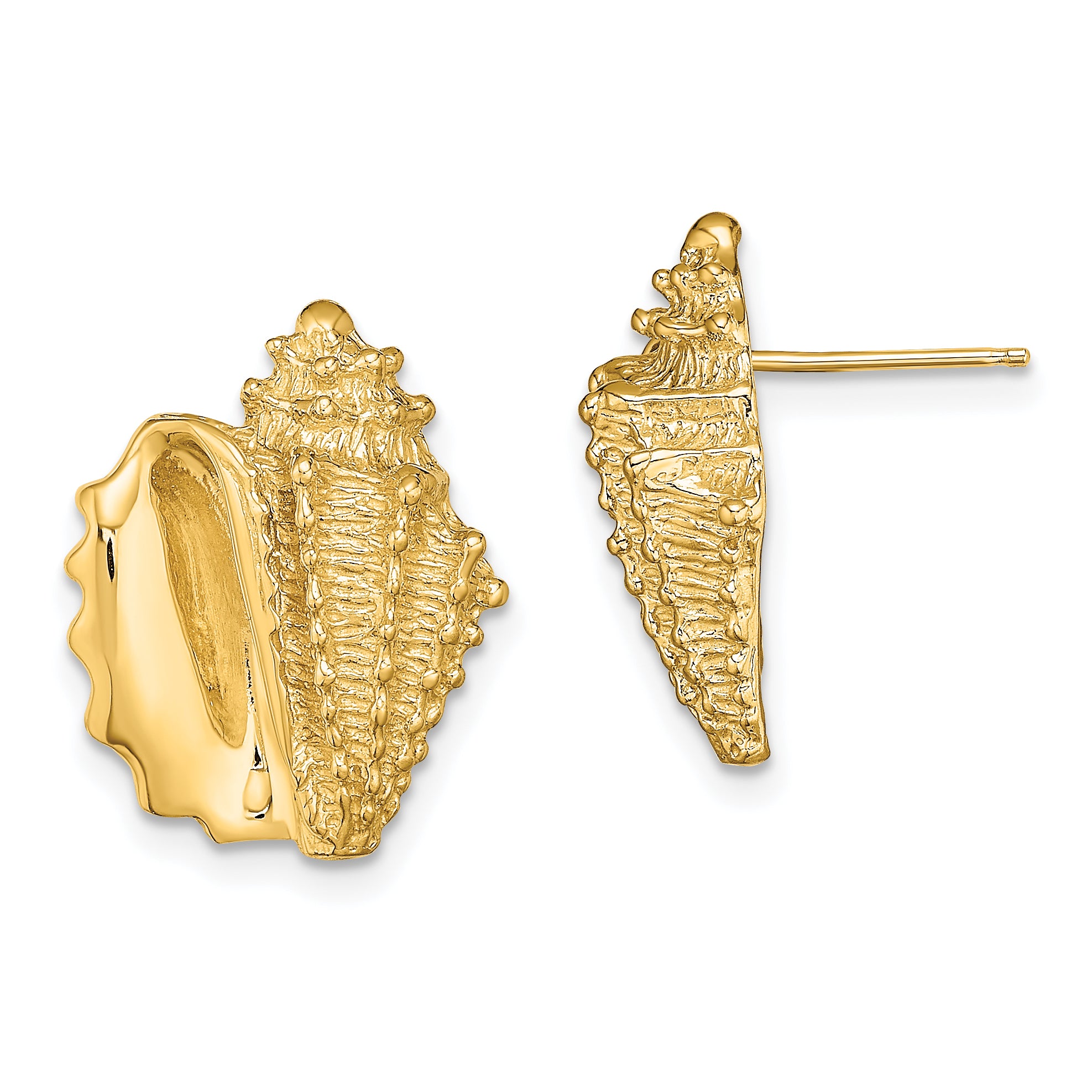 14K 2-D Conch Shell Post Earrings Main image