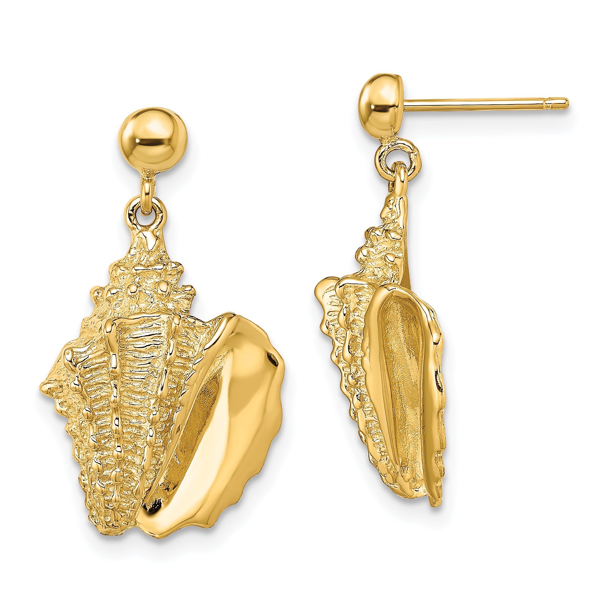 14K 2-D Conch Shell Dangle Post Earrings Main image