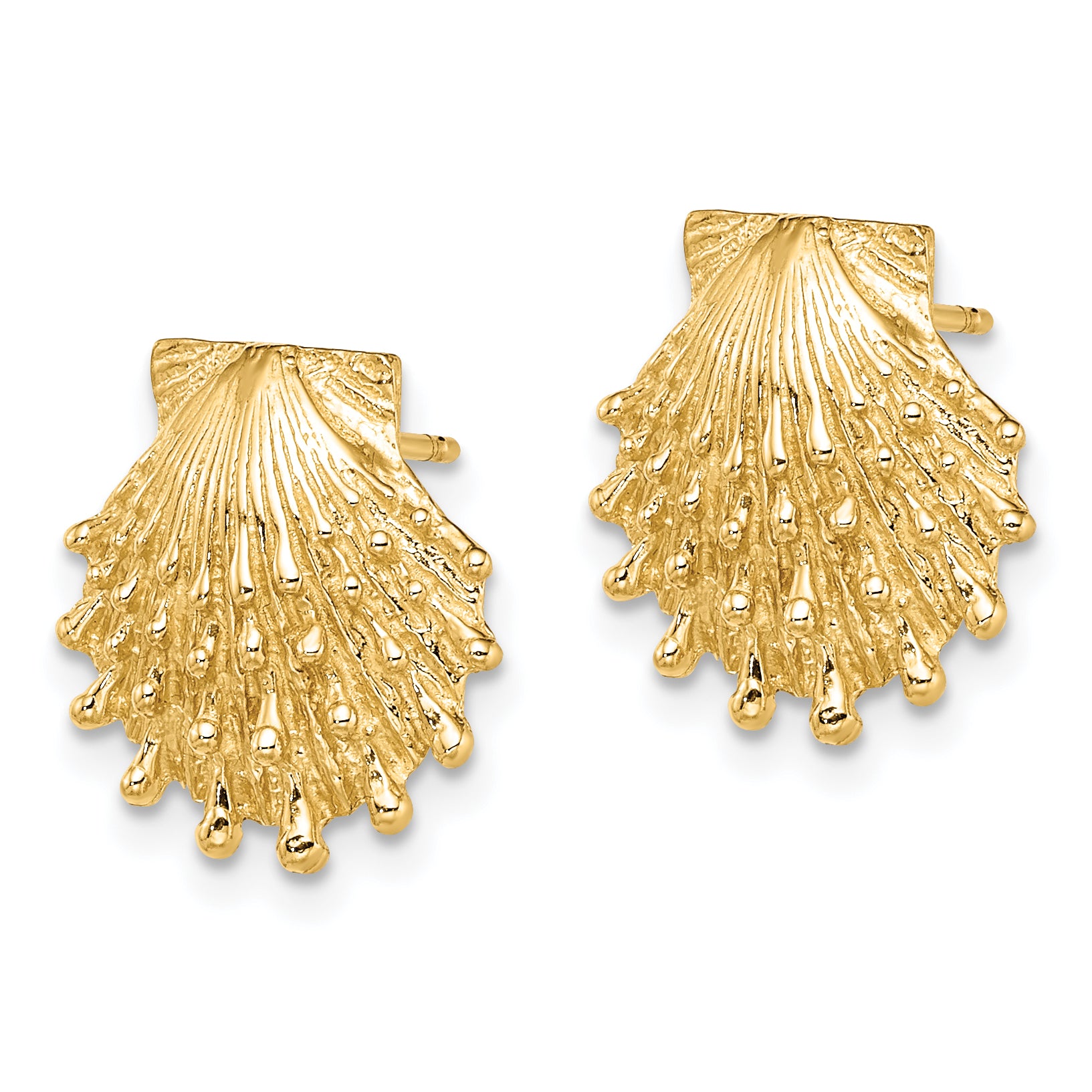 14K Lion's Paw Shell Post Earrings