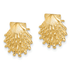 14K Lion's Paw Shell Post Earrings