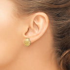14K Lion's Paw Shell Post Earrings