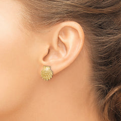 14K Lion's Paw Shell Post Earrings