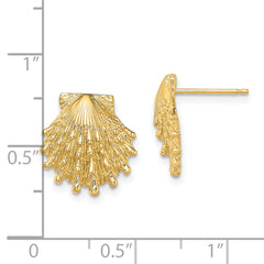 14K Lion's Paw Shell Post Earrings