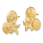 14K Sand Dollar, Starfish, ,Scallop Cluster Post Earrings