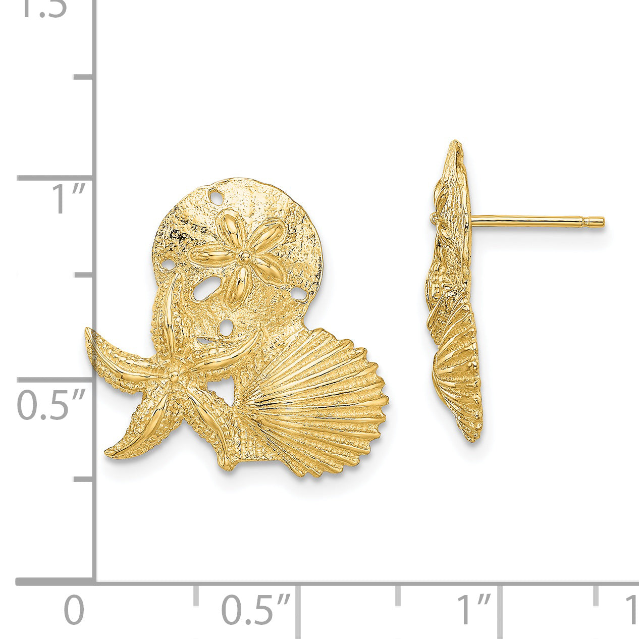 14K Sand Dollar, Starfish, ,Scallop Cluster Post Earrings