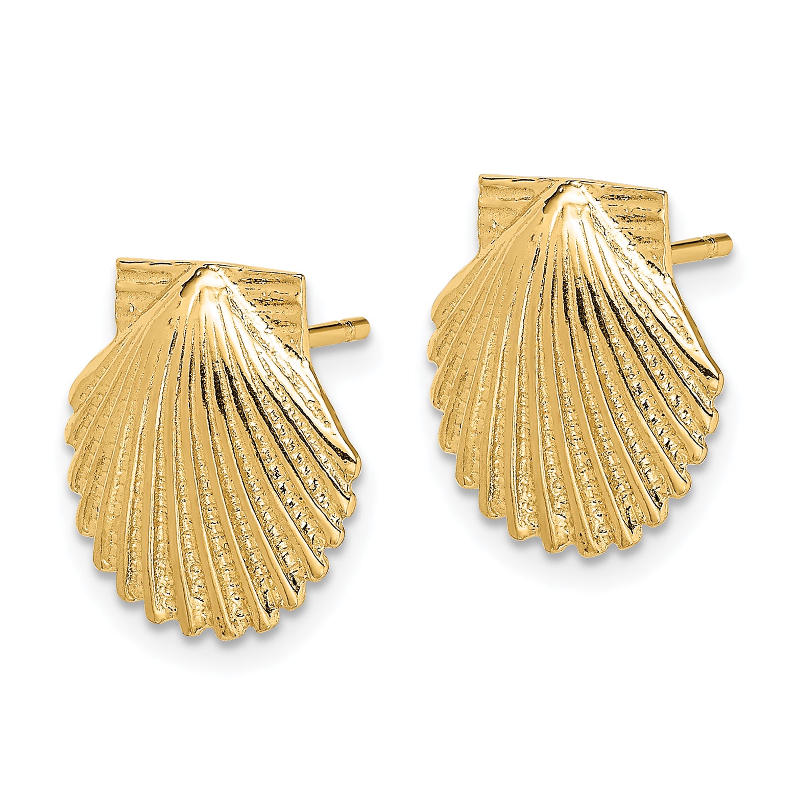 14K 2-D Polished Scallop Shell Post Earrings Secondary image