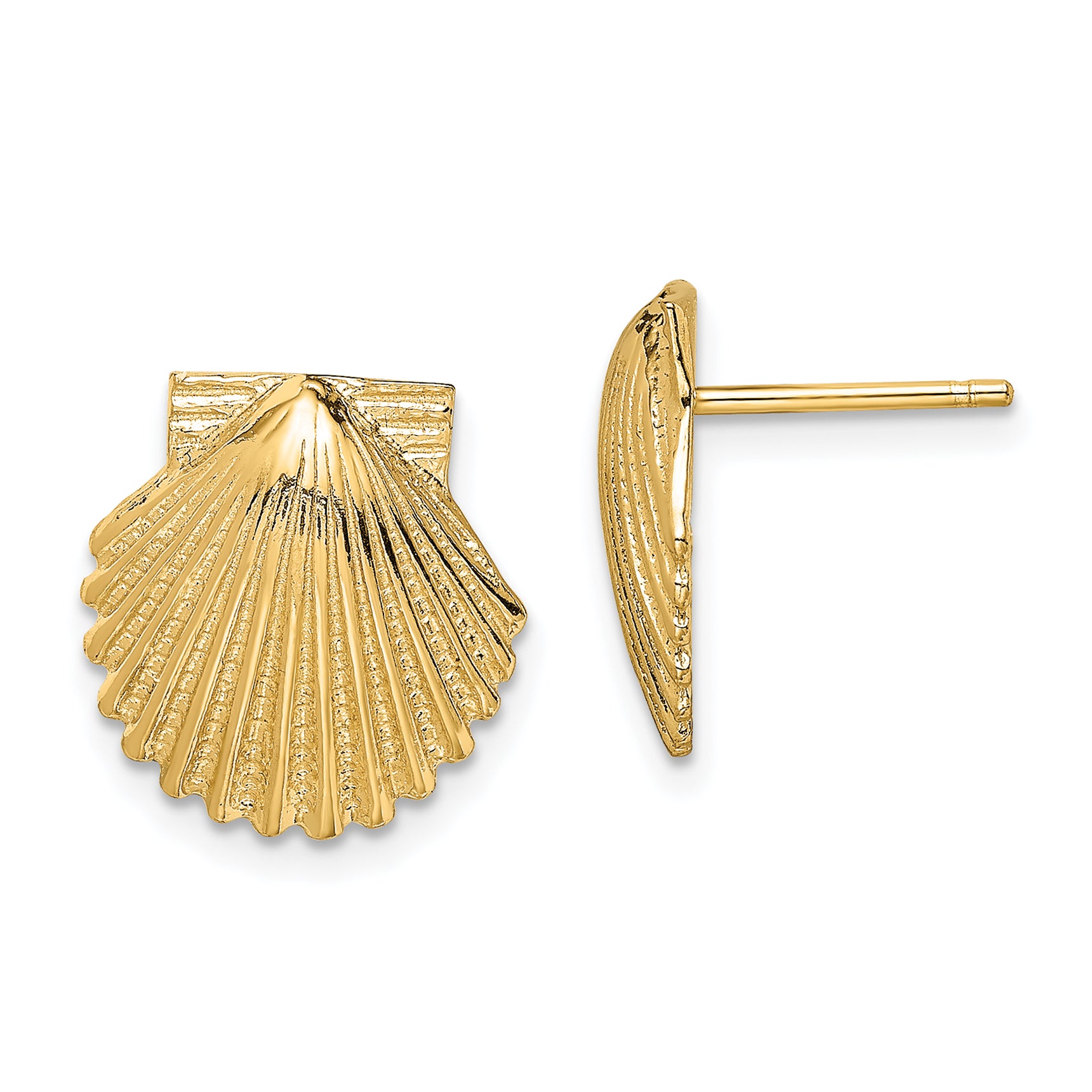 14K 2-D Polished Scallop Shell Post Earrings Main image