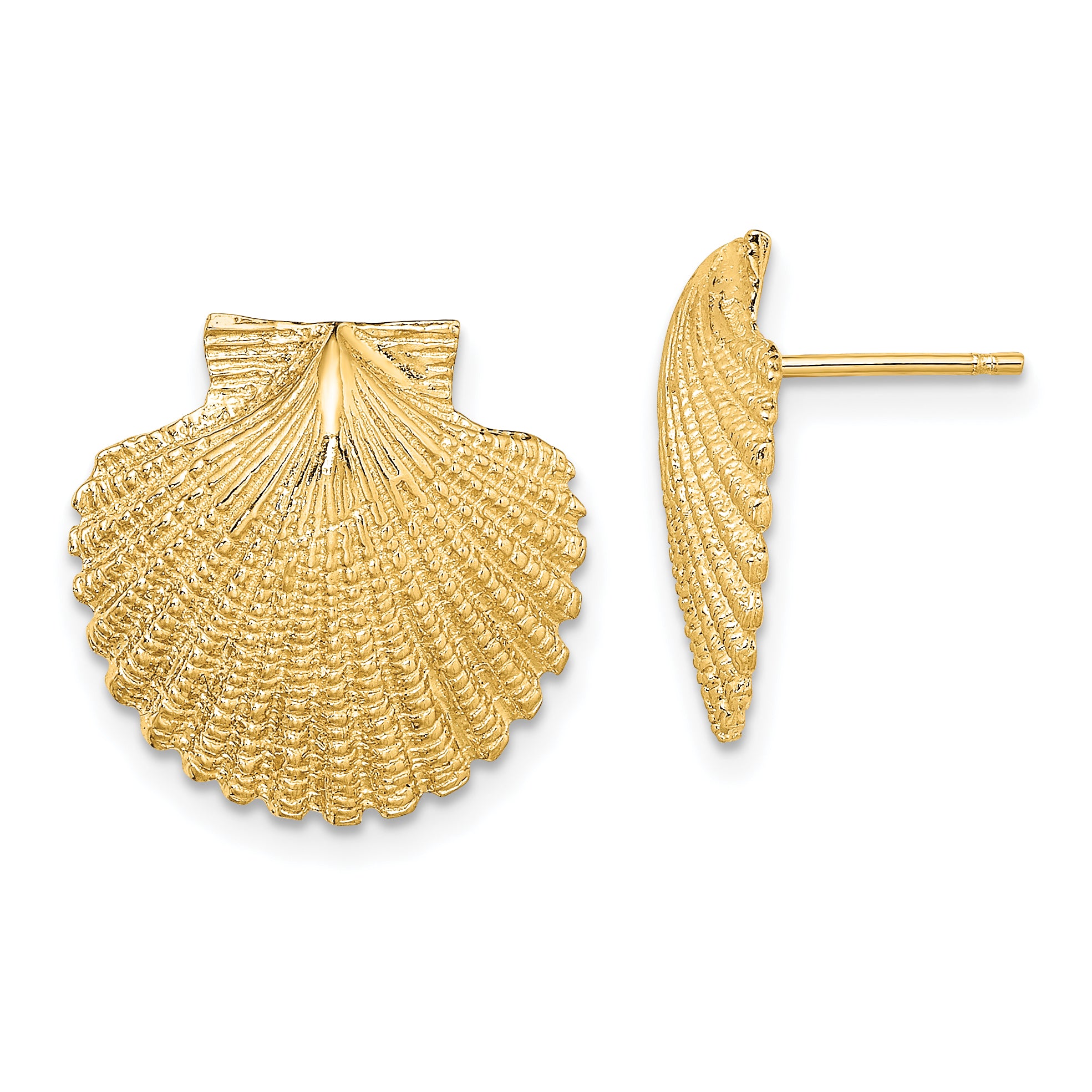 14K 2-D Textured Scallop Shell Post Earrings Main image