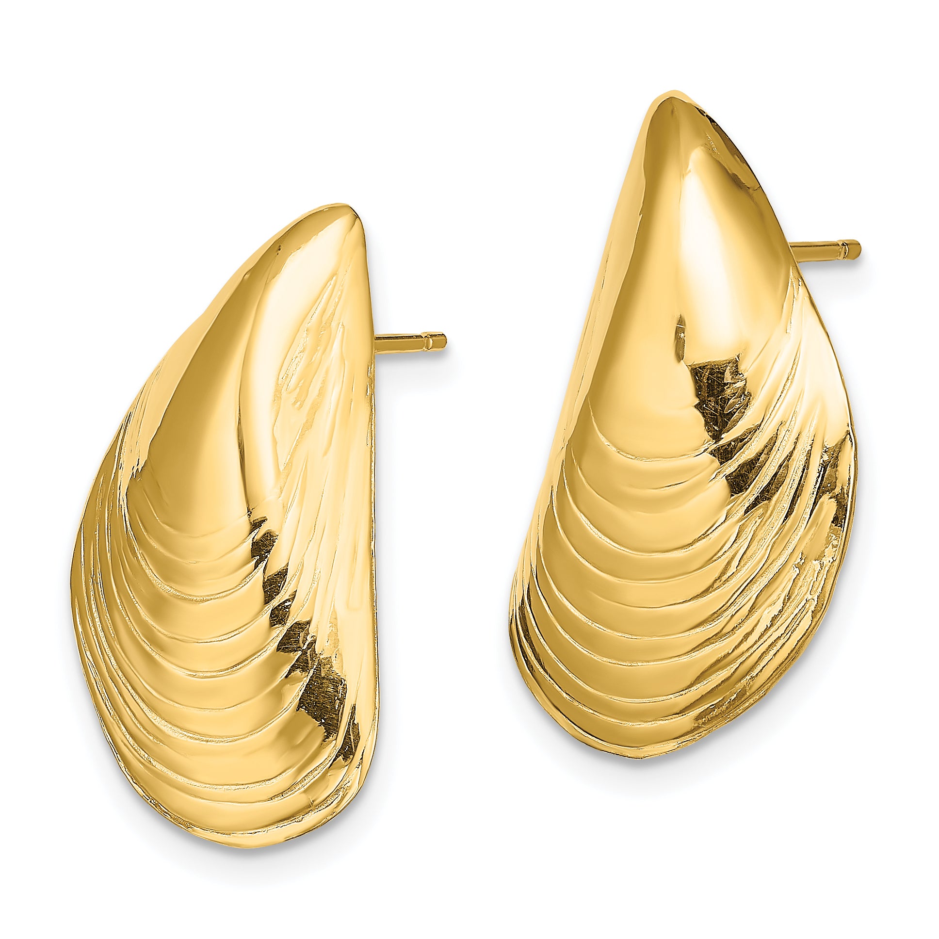 14K Polished Mussel Shell Post Earrings Secondary image