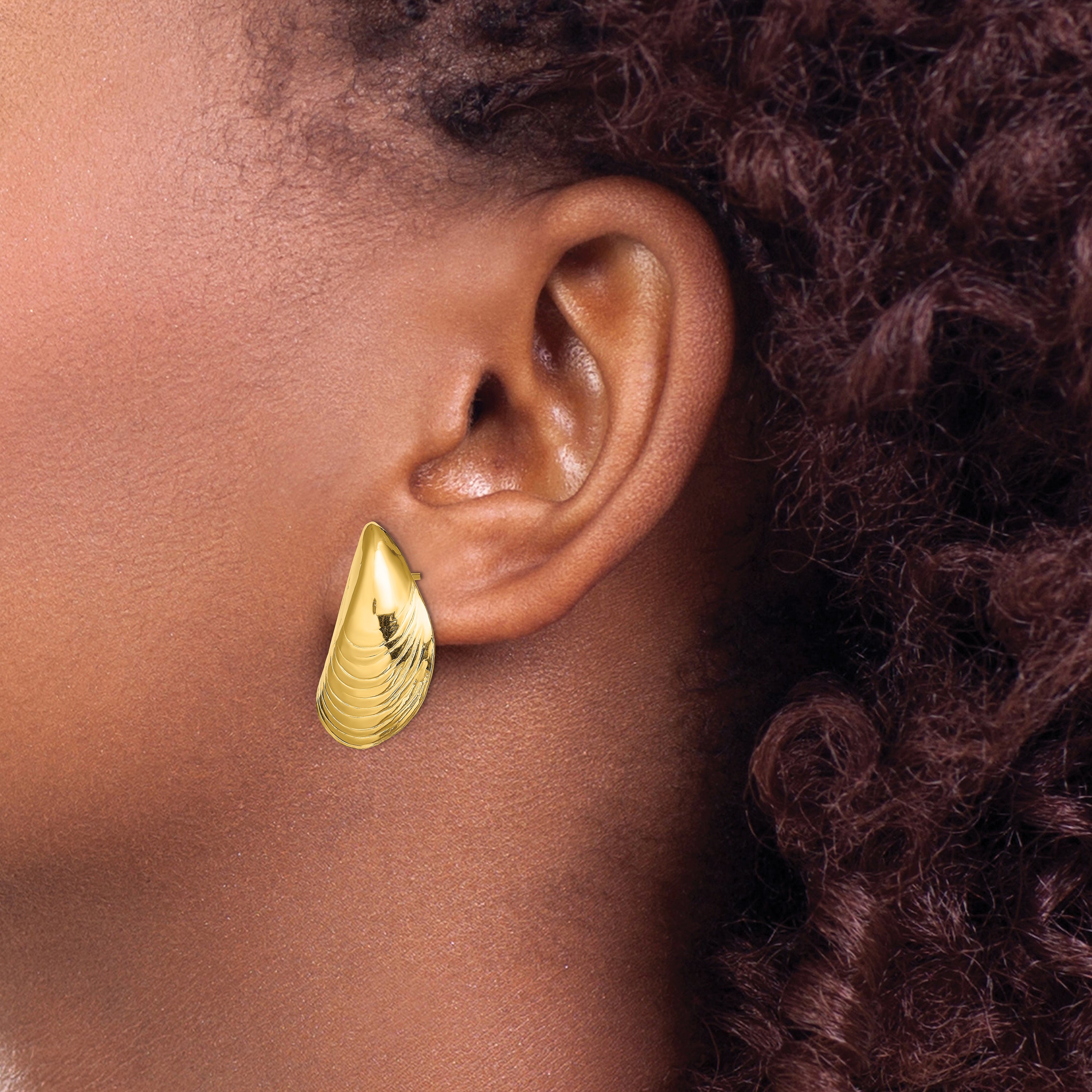 14K Polished Mussel Shell Post Earrings