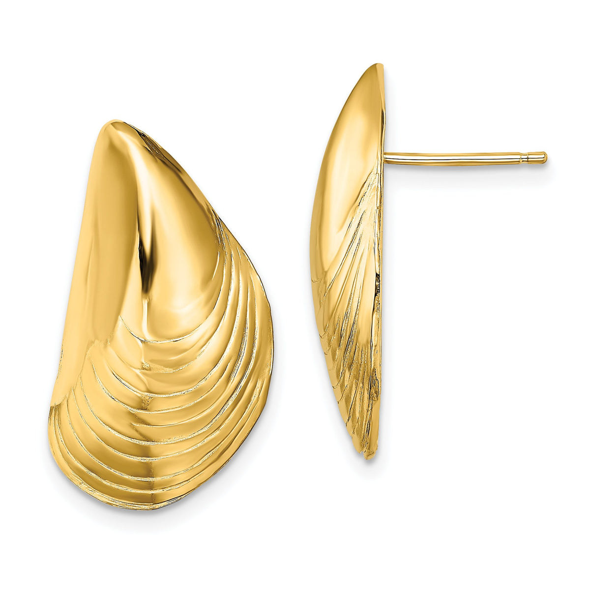 Mussel Shell Stud Earrings in 14K Yellow Gold, 13.2mm - Sophia Jewelers Main image