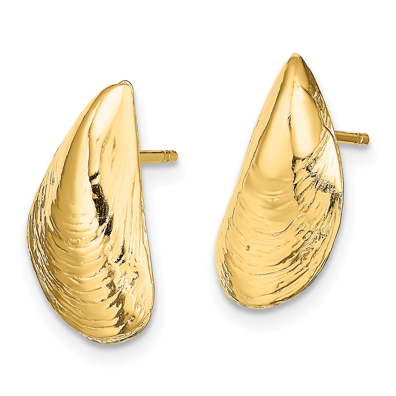 14K Mussel Shell Post Earrings
