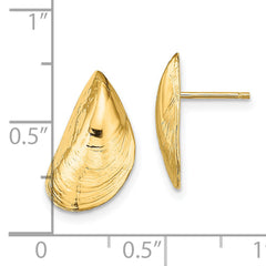 14K Mussel Shell Post Earrings