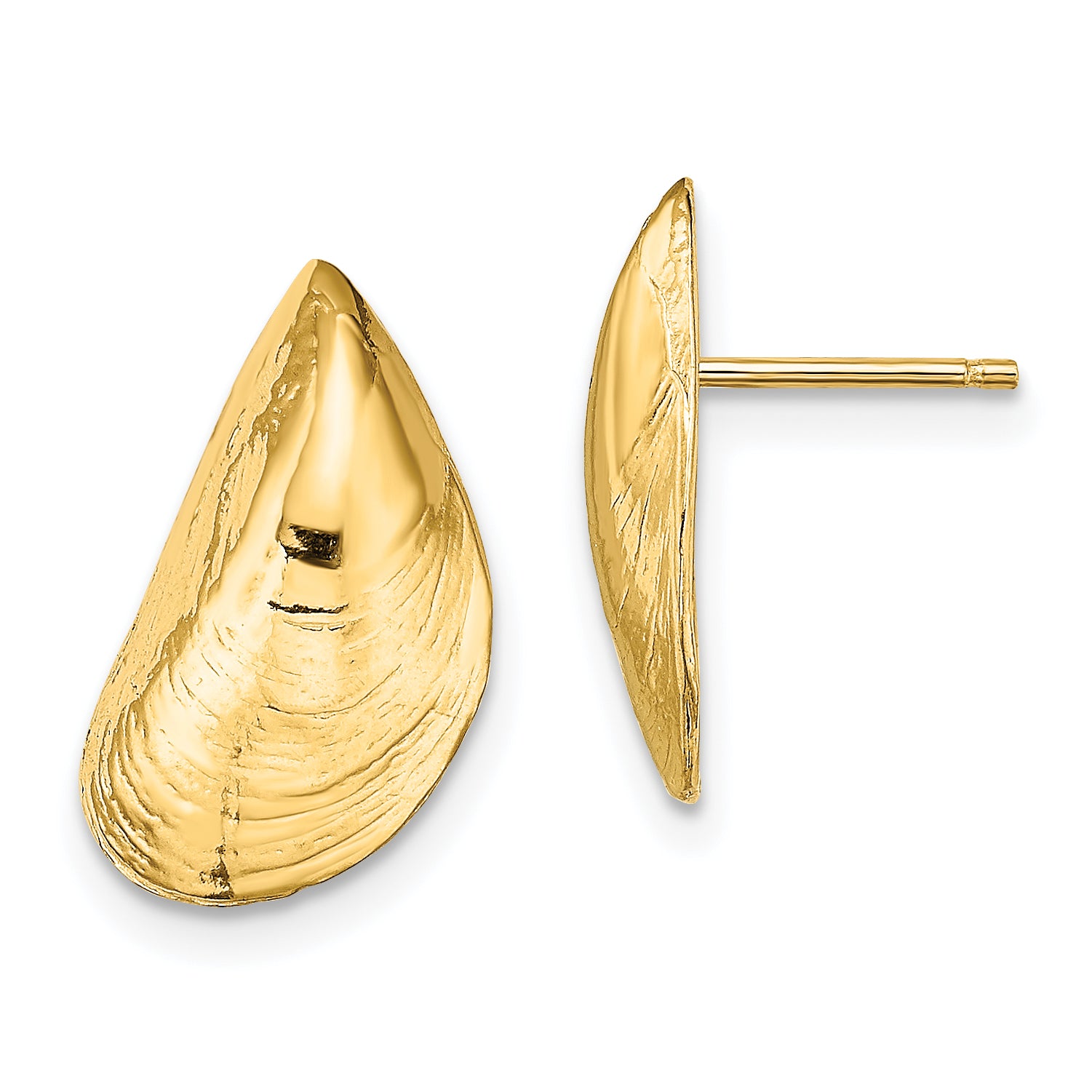 14K Mussel Shell Post Earrings Main image