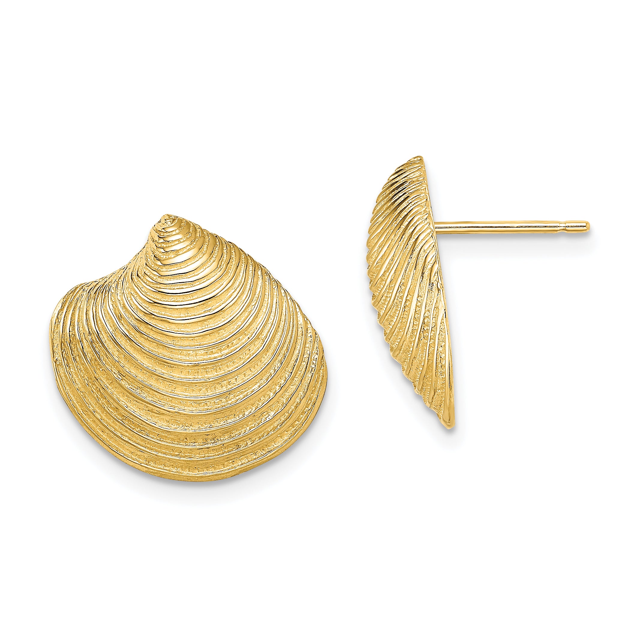 14K 2-D Textured and Polished Clam Shell Post Earrings Main image