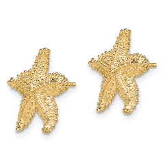 14K Textured and Beaded Starfish Post Earrings