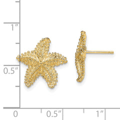 14K Textured and Beaded Starfish Post Earrings
