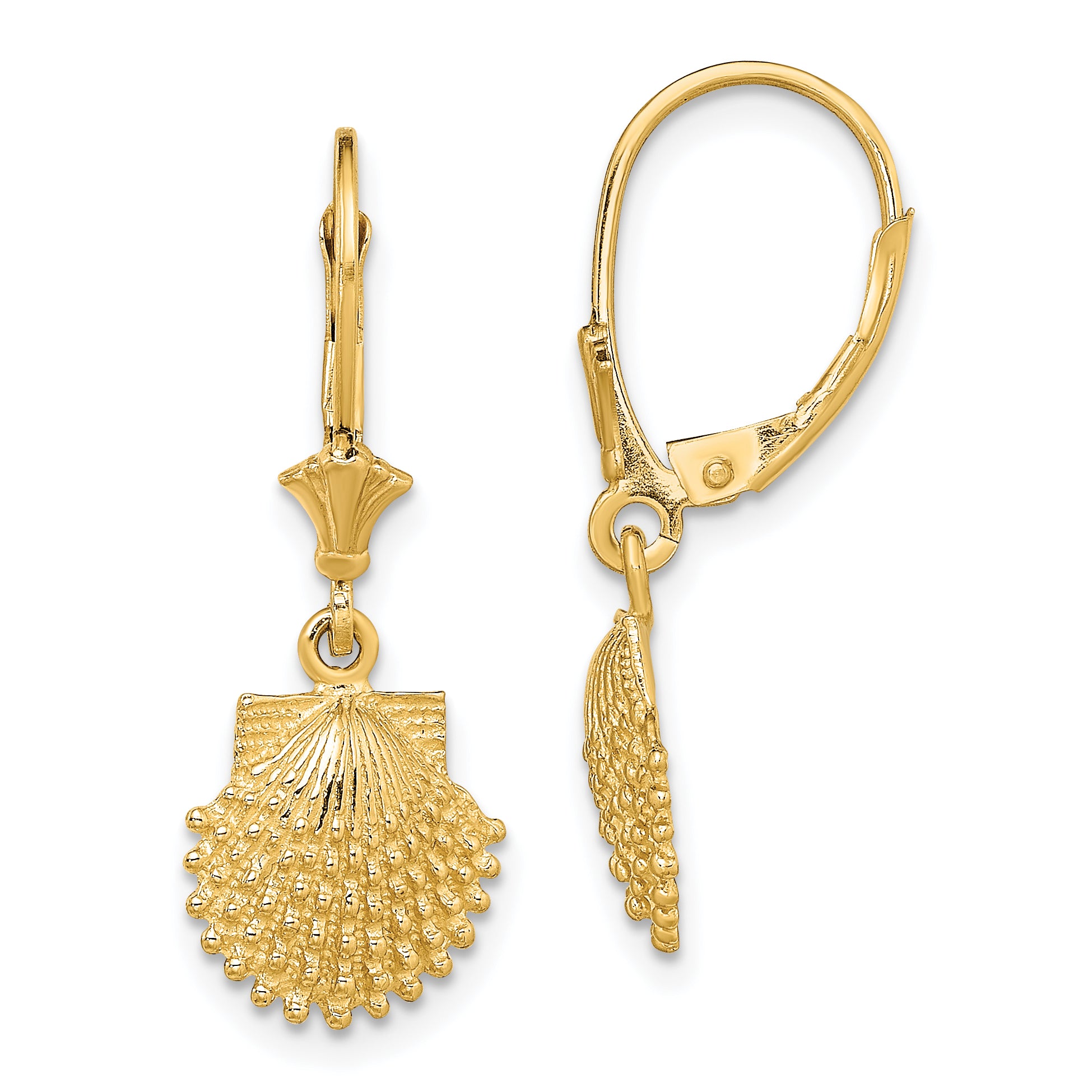 14K 2-D Beaded Scallop Shell Leverback Earrings Main image
