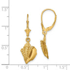 14K Conch Shell Leverback Earrings