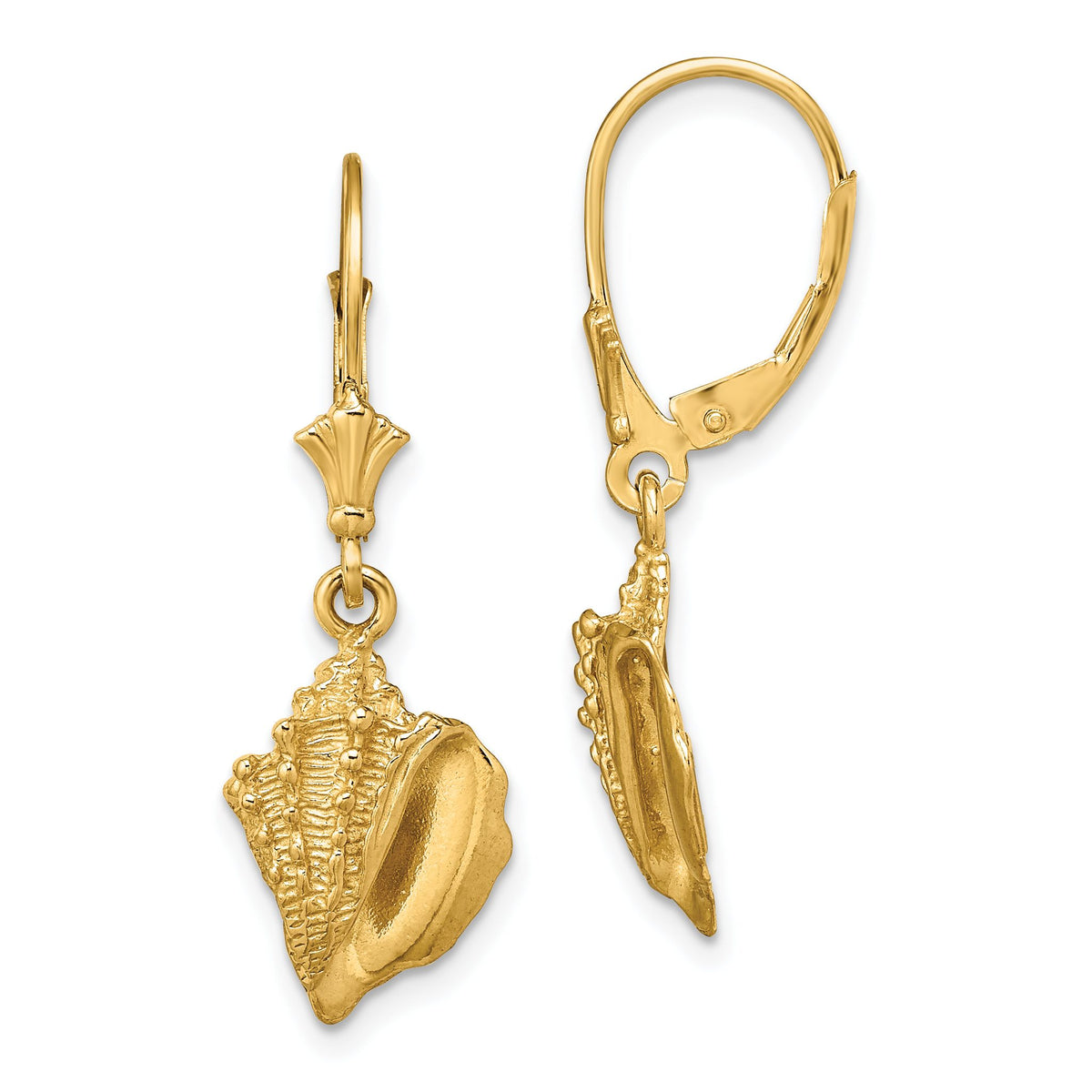 Conch Shell Leverback Earrings in 14K Yellow Gold - Sophia Jewelers Main image