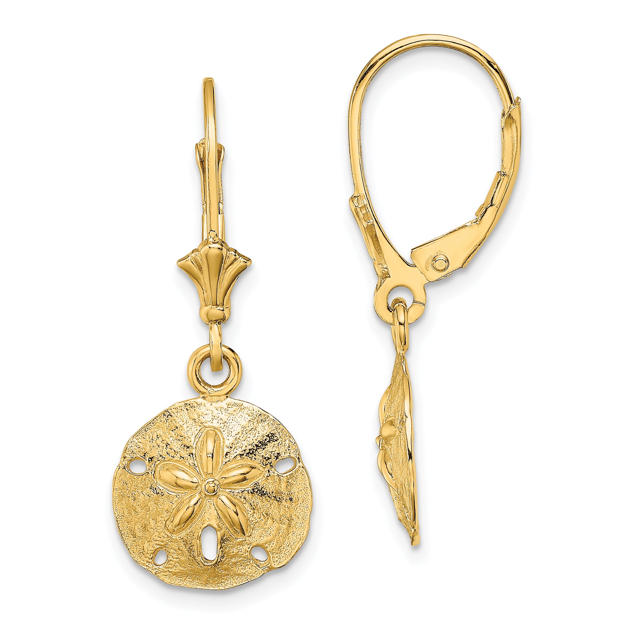 14K Polished Sand Dollar Leverback Earrings Main image