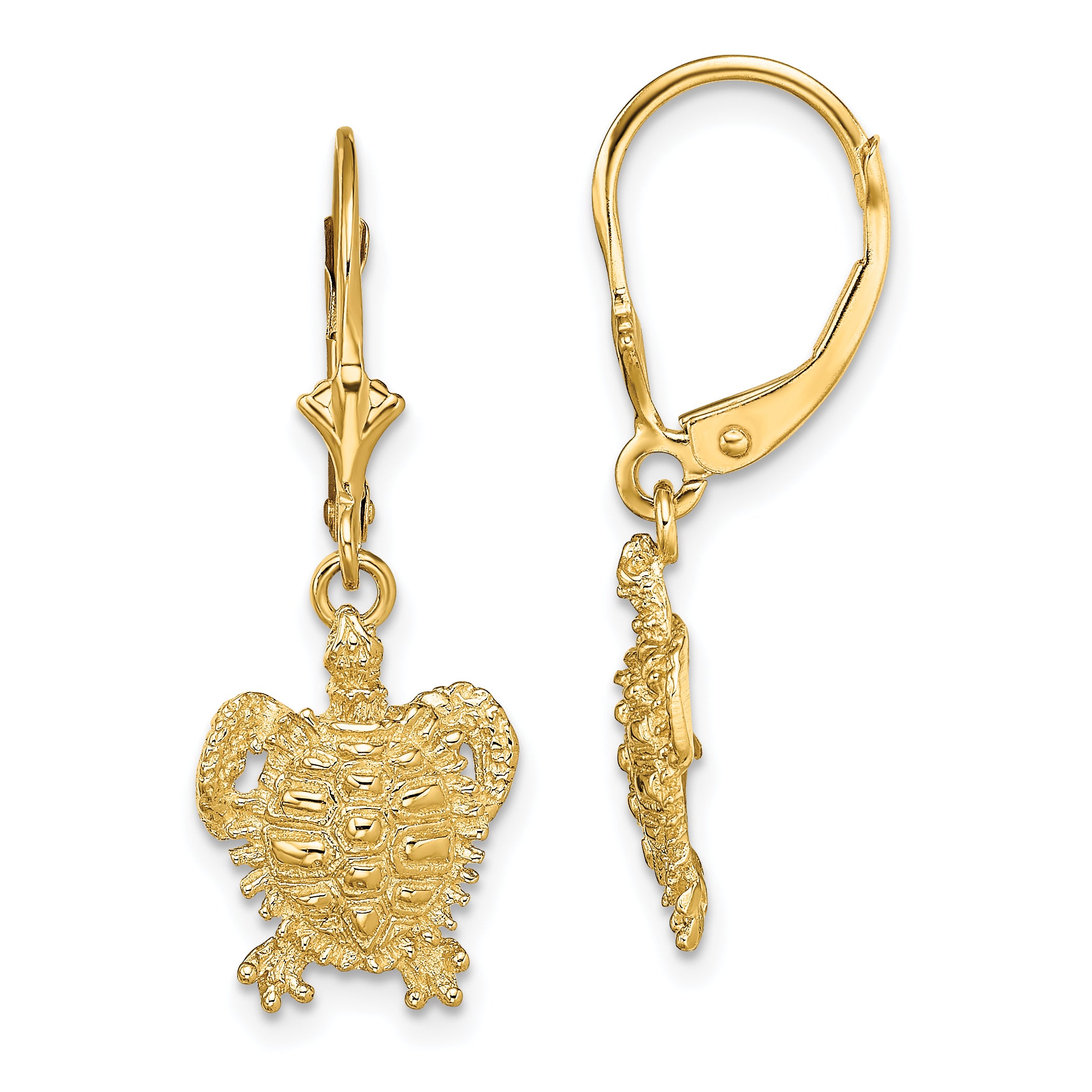 14k Turtle Leverback Earrings Main image