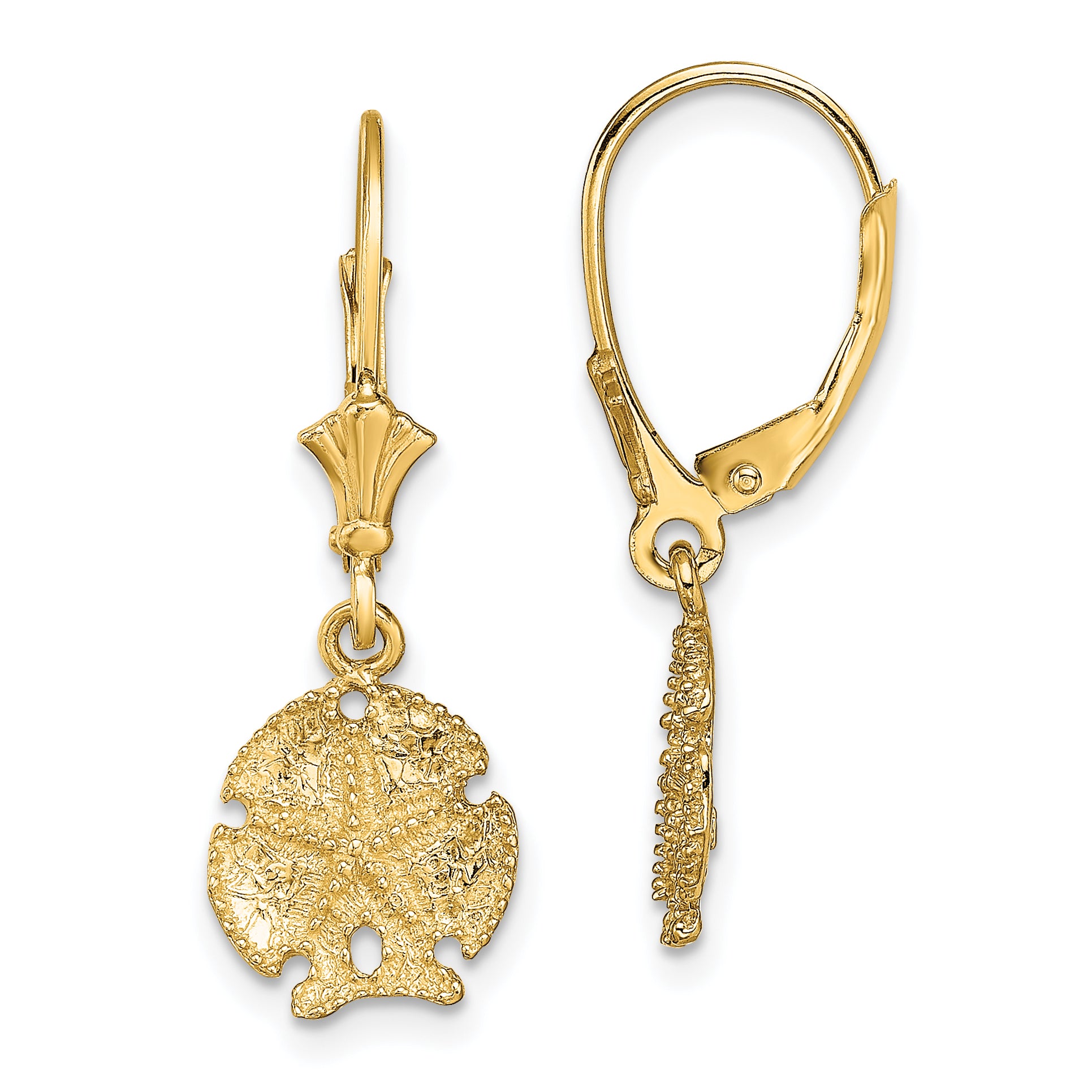 14K Sand Dollar W/Star Leverback Earrings