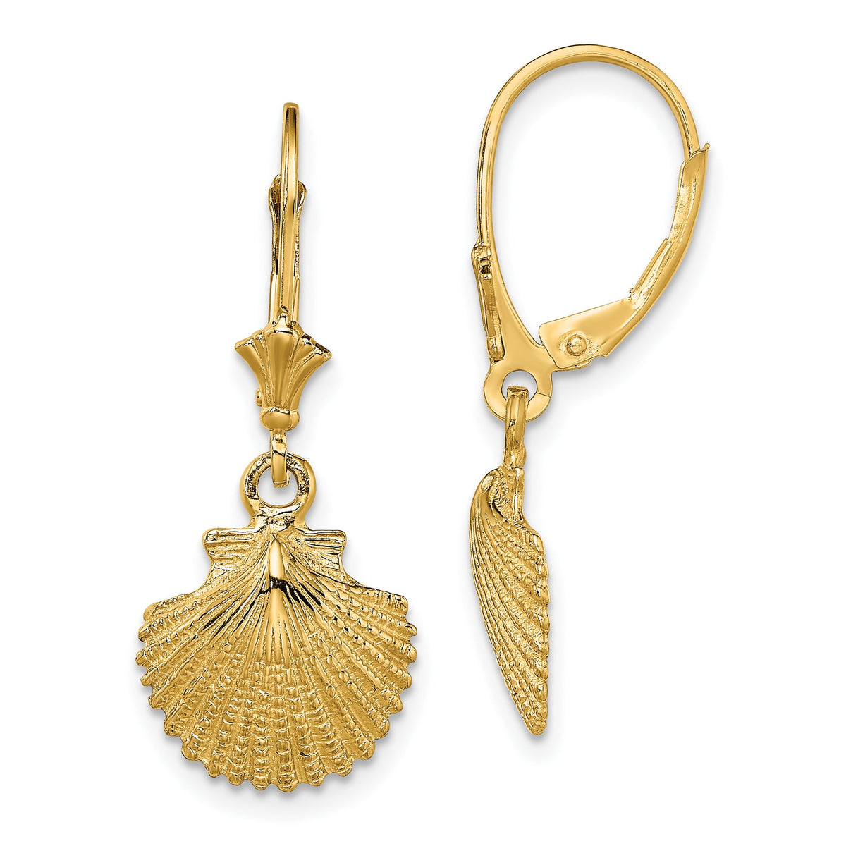2-D Scallop Shell Leverback Earrings in 14K Yellow Gold, Textured - Sophia Jewelers Main image