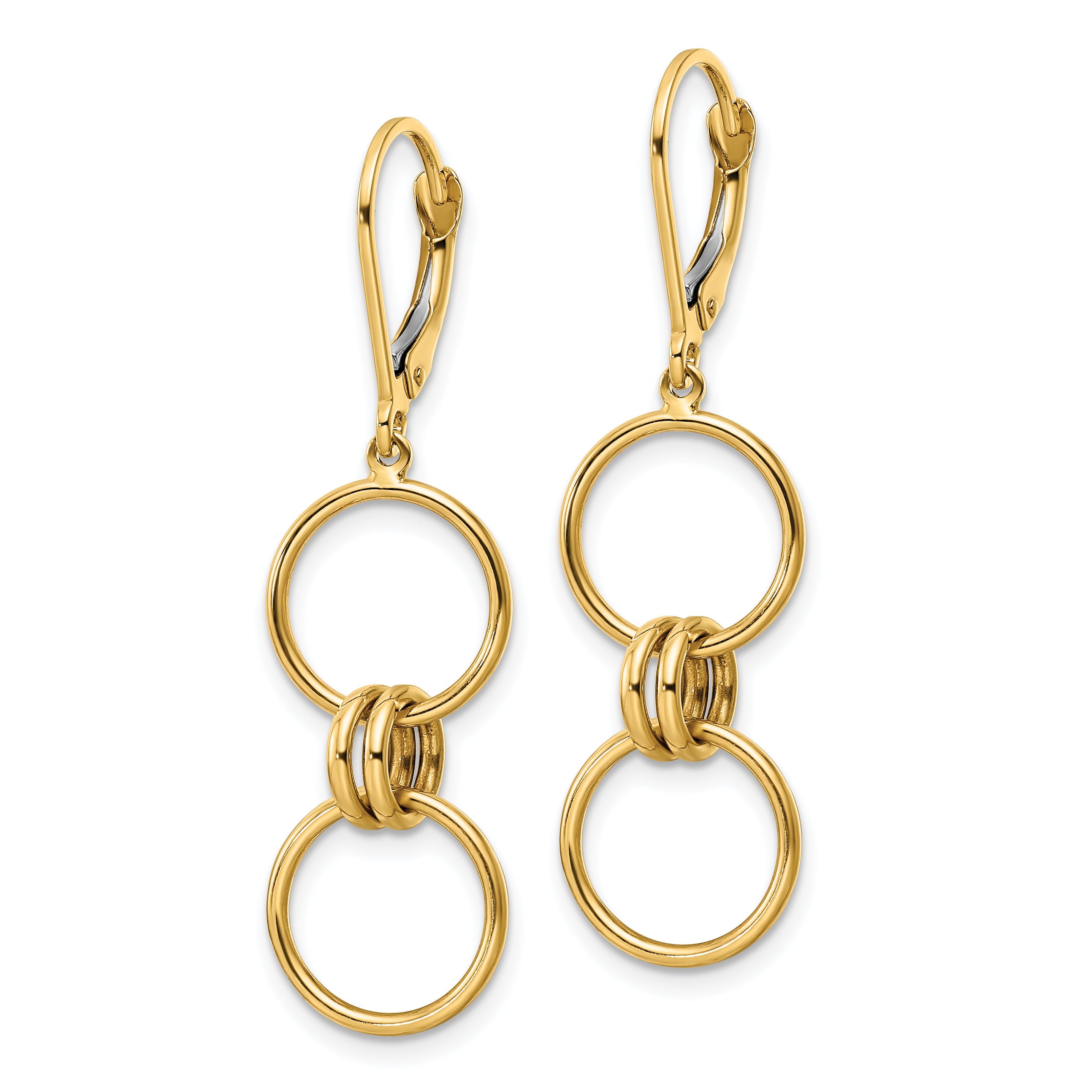 14k Circle Dangle Leverback Earrings