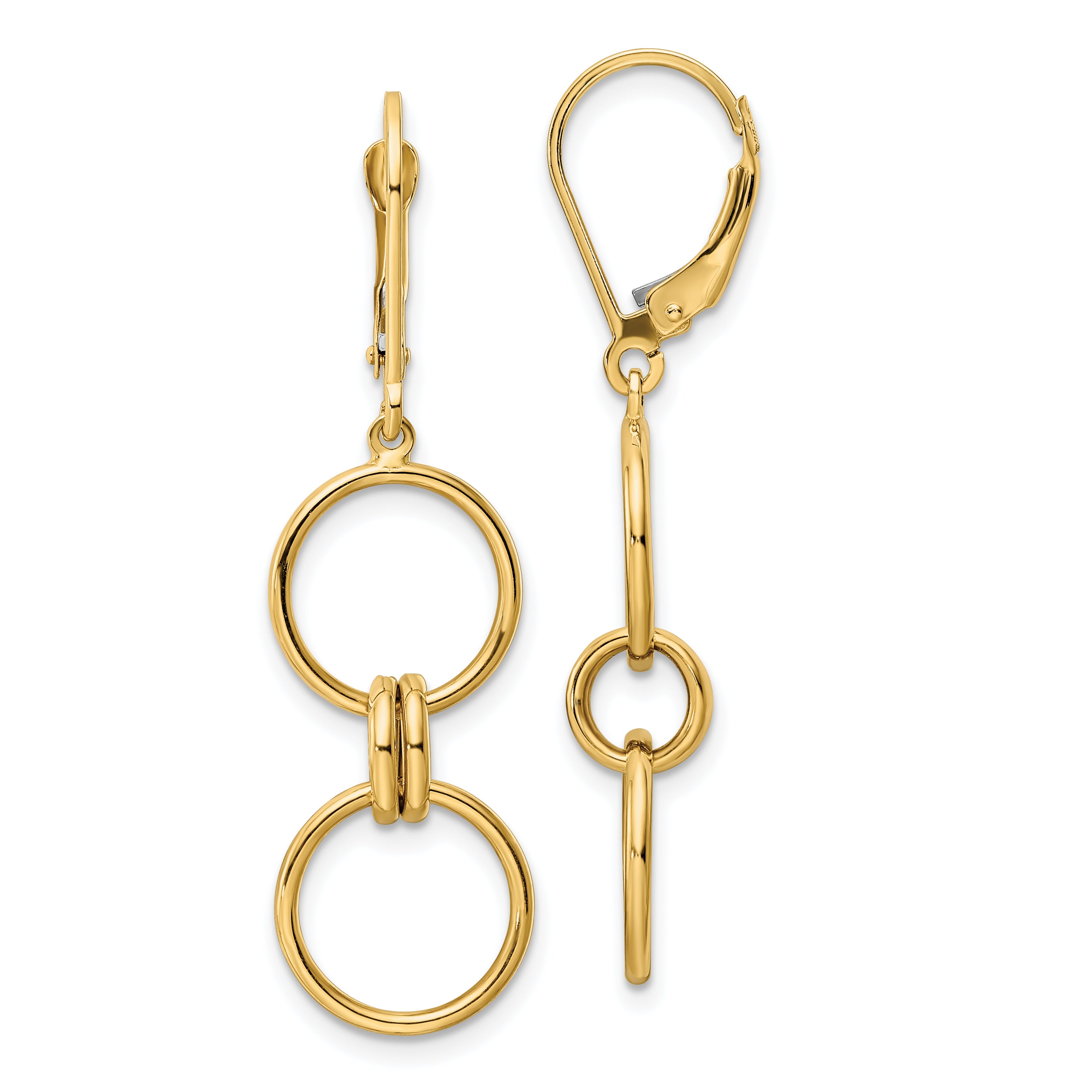 14k Circle Dangle Leverback Earrings Main image