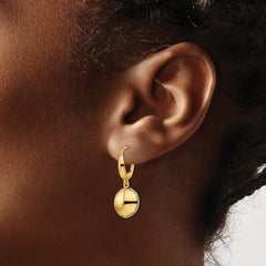 14K Two-tone Polished D/C Hollow Round Criss Cross Leverback Earrings