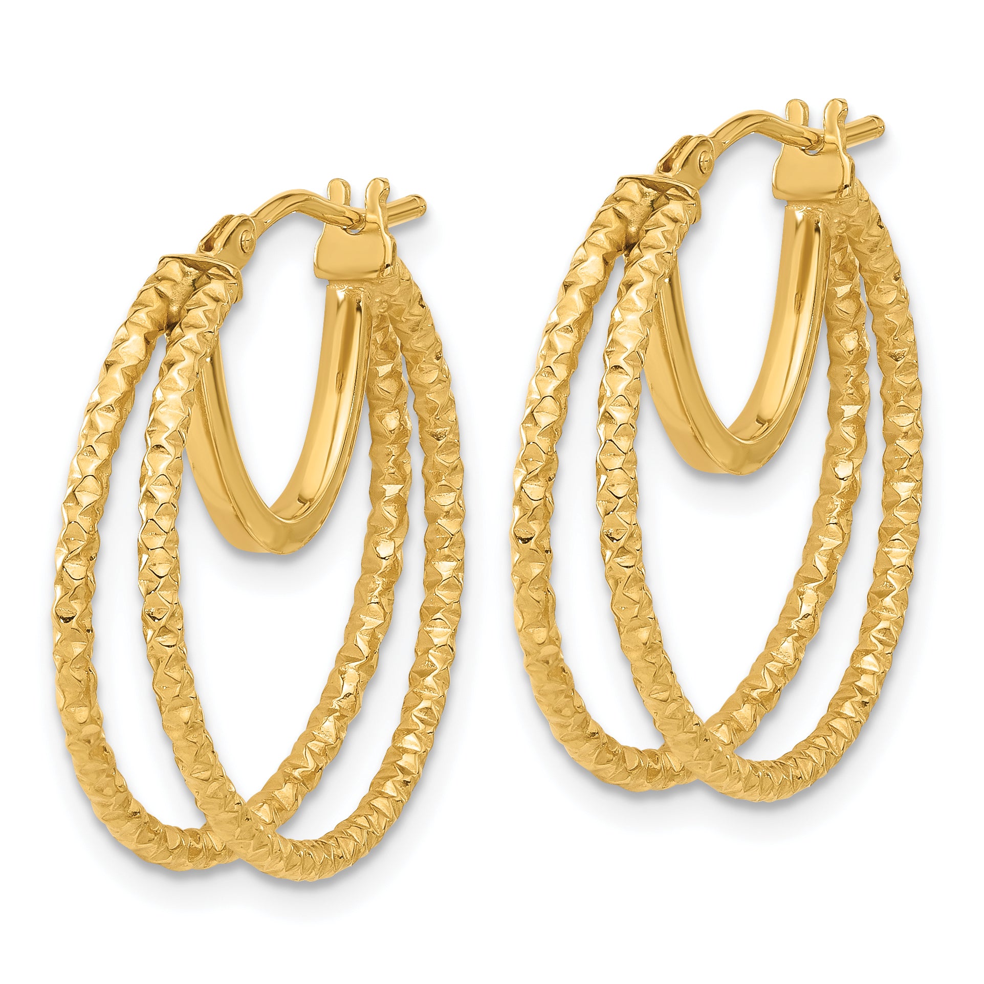 14K Polished and Textured Double Circle Hoop Earrings Secondary image