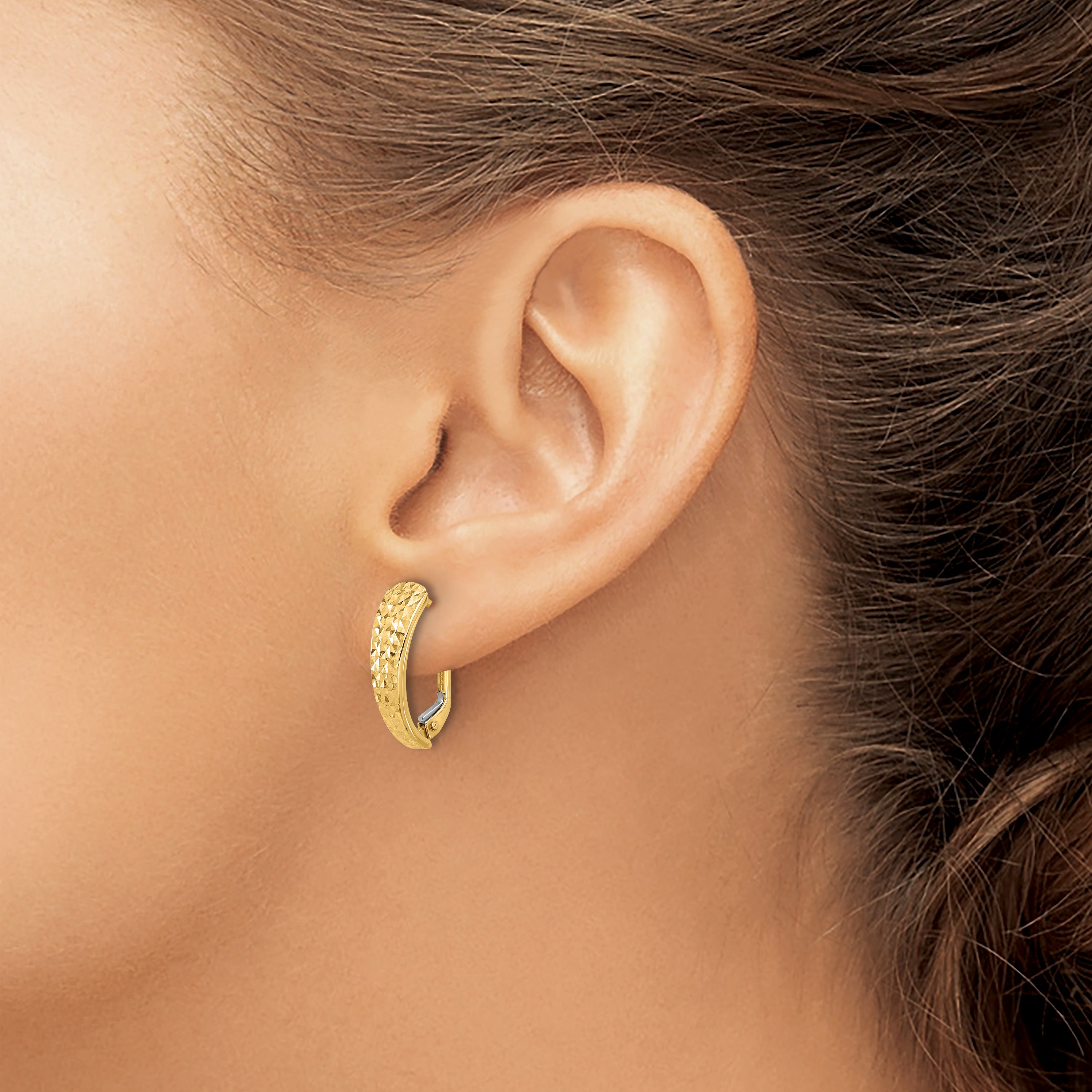 14K Polished and Diamond-cut Leverback Earrings