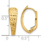 14K Polished and Diamond-cut Leverback Earrings