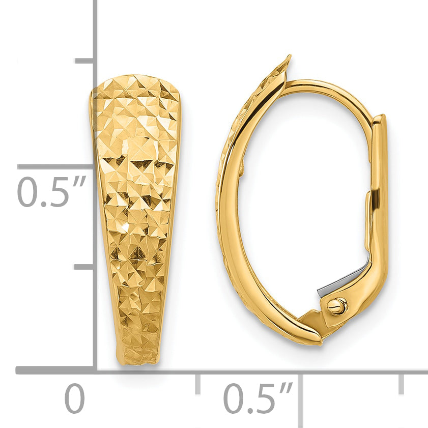 14K Polished and Diamond-cut Leverback Earrings