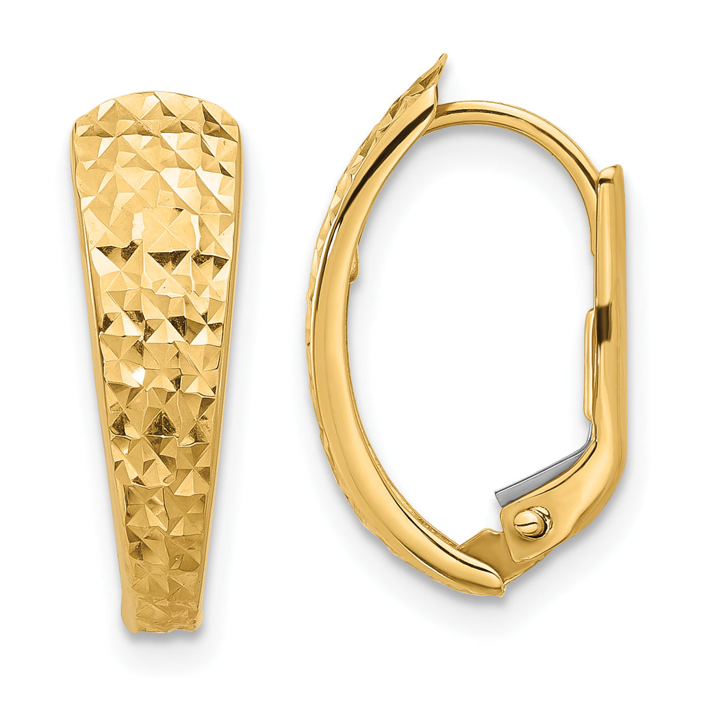 14K Polished and Diamond-cut Leverback Earrings