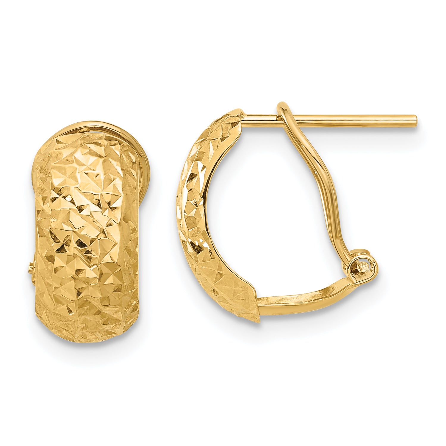 14K Polished and Diamond-cut Omega Back Earrings Main image