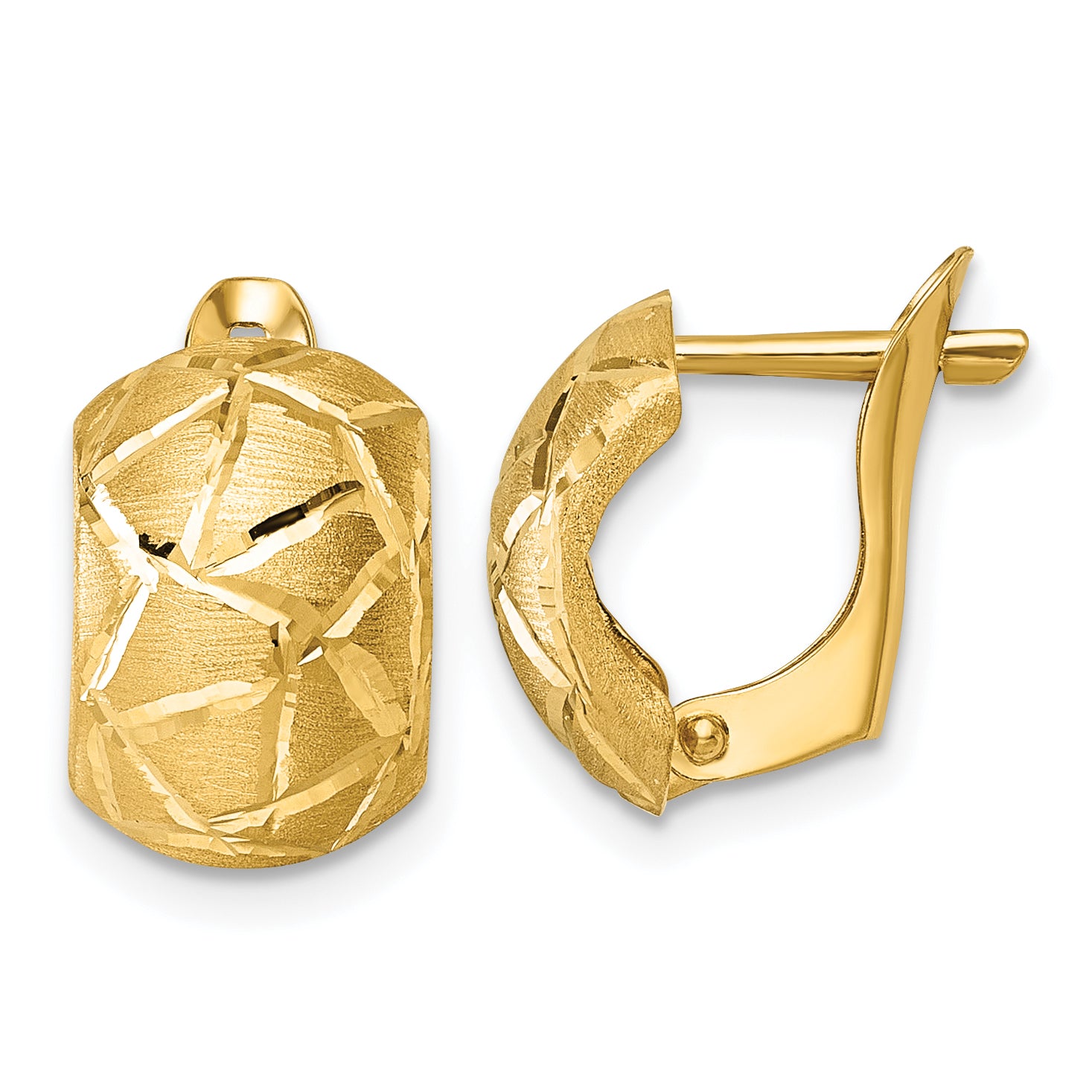 14k Polished and Brushed Diamond-cut Omega Back Earrings Main image