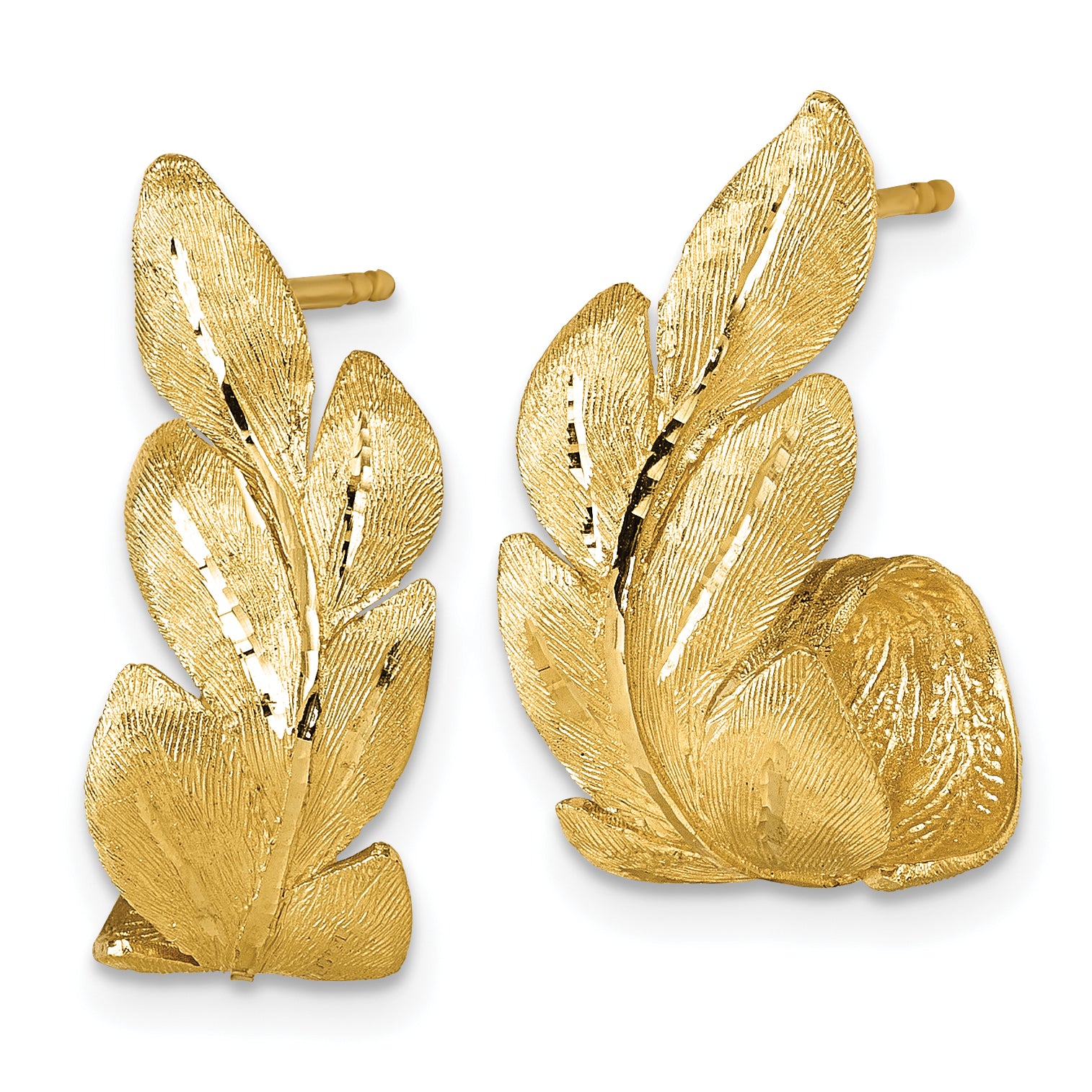 14k Brushed And Textured Curled Leaf Post Earrings Secondary image