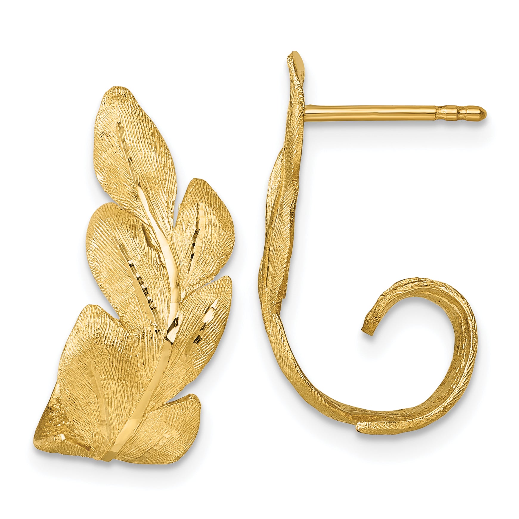 14k Brushed And Textured Curled Leaf Post Earrings Main image