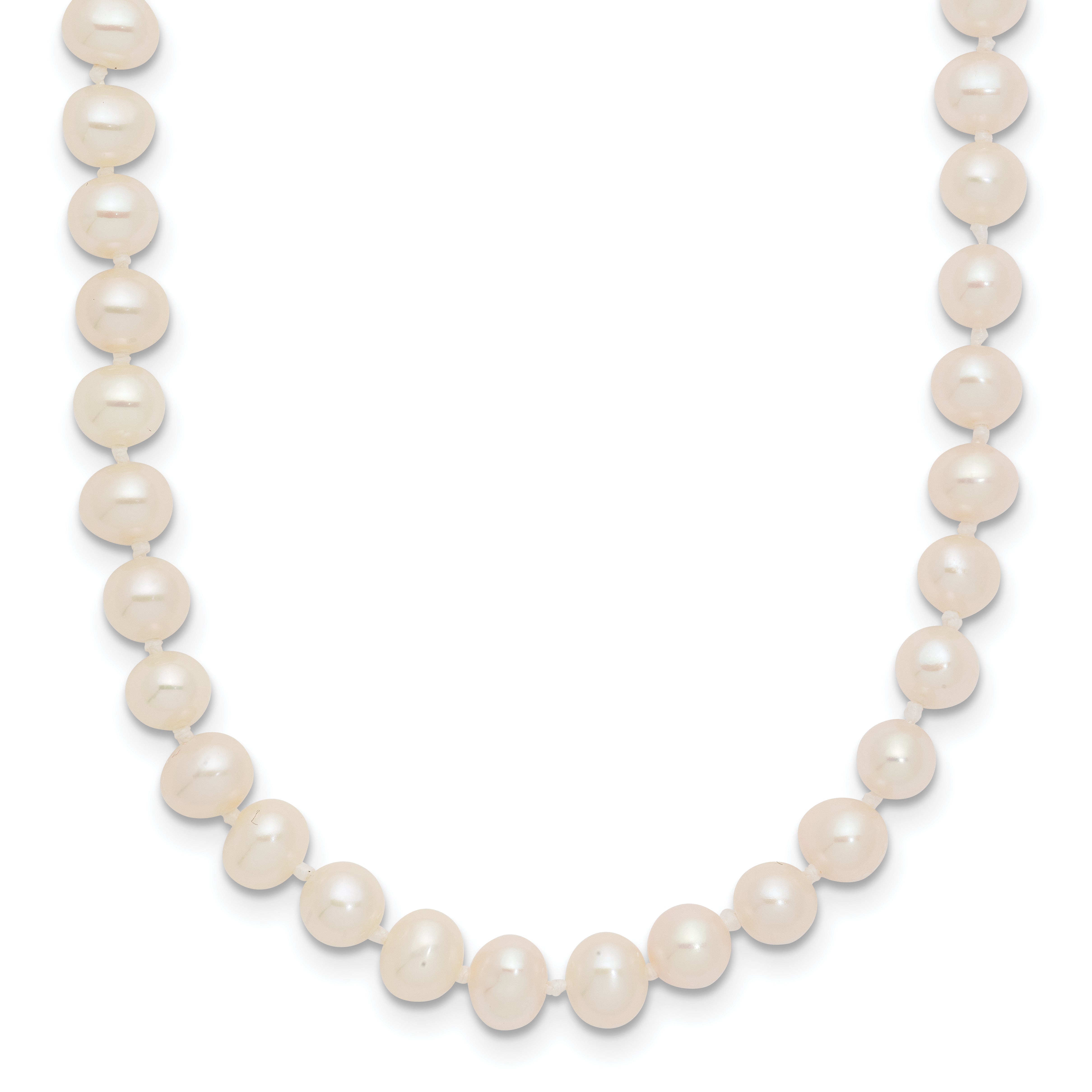 14K Yellow Gold White Freshwater Cultured Pearl Necklace 4-5mm Main image
