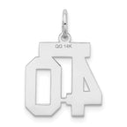 Small Number 40 Charm in 14K White Gold, Satin - Sophia Jewelers