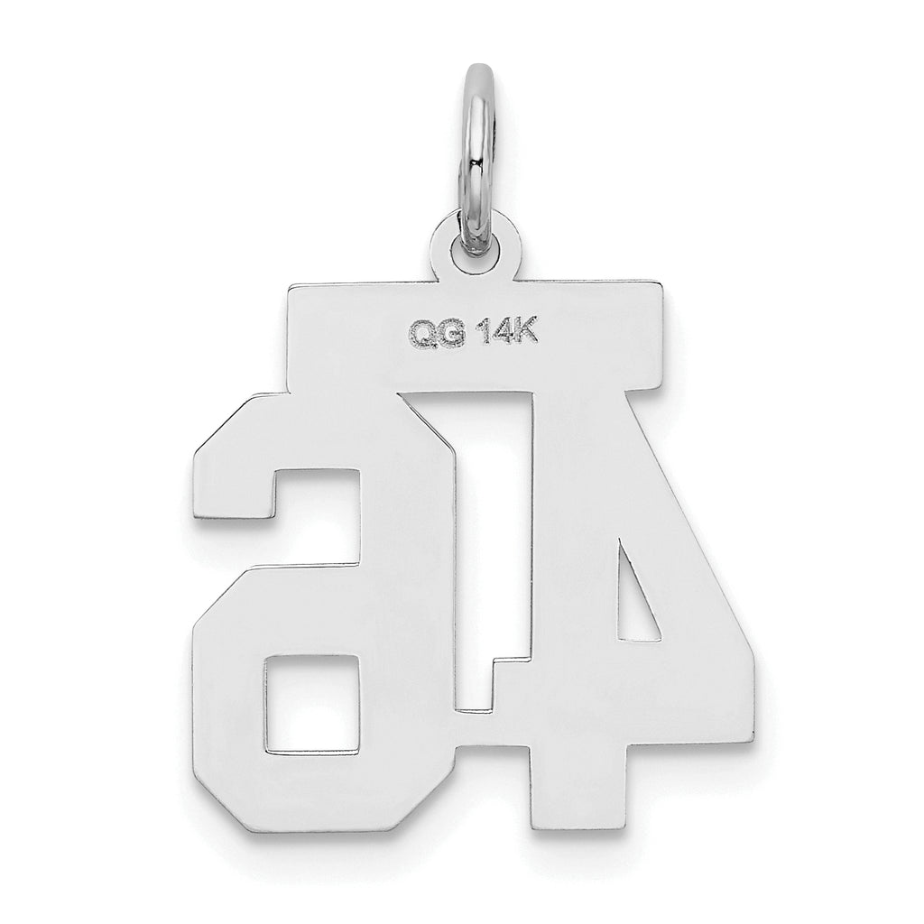 Small Number 46 Charm in 14K White Gold, Satin - Sophia Jewelers