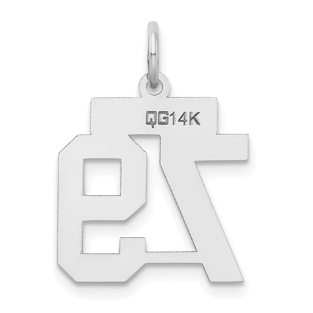 Small Number 79 Charm in 14K White Gold, Satin - Sophia Jewelers