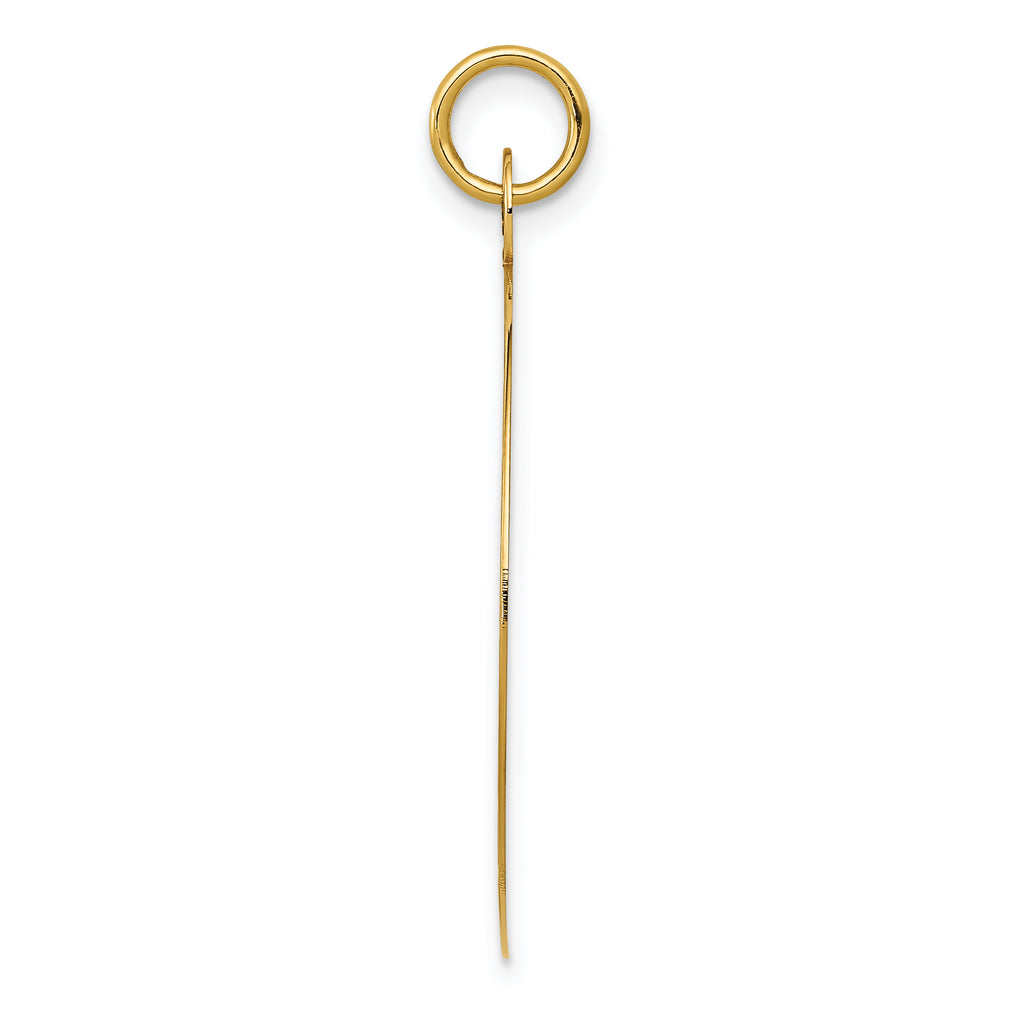 Happy Anniversary Disc Charm in 14K Yellow Gold, 33mm Engravable - Sophia Jewelers