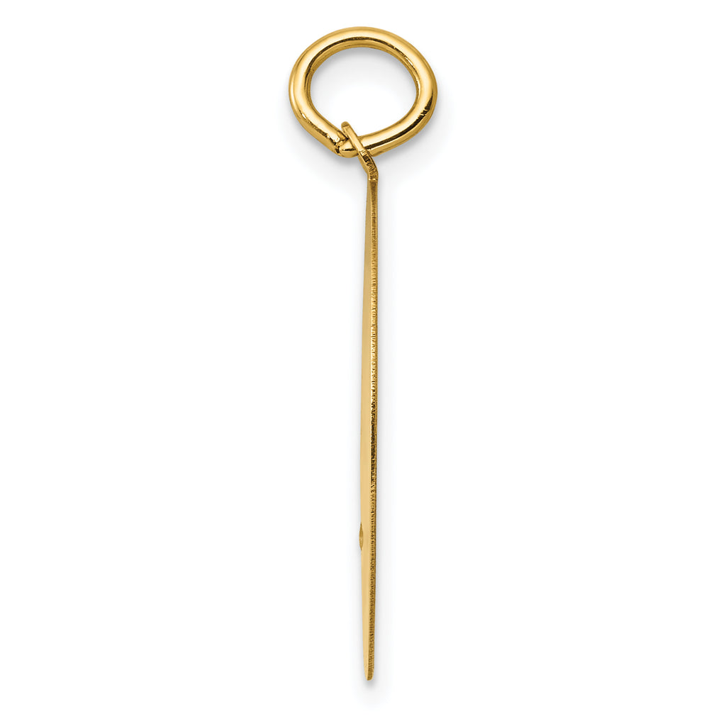 Golden Retriever Disc Charm in 14K Yellow Gold, 20mm Engravable - Sophia Jewelers