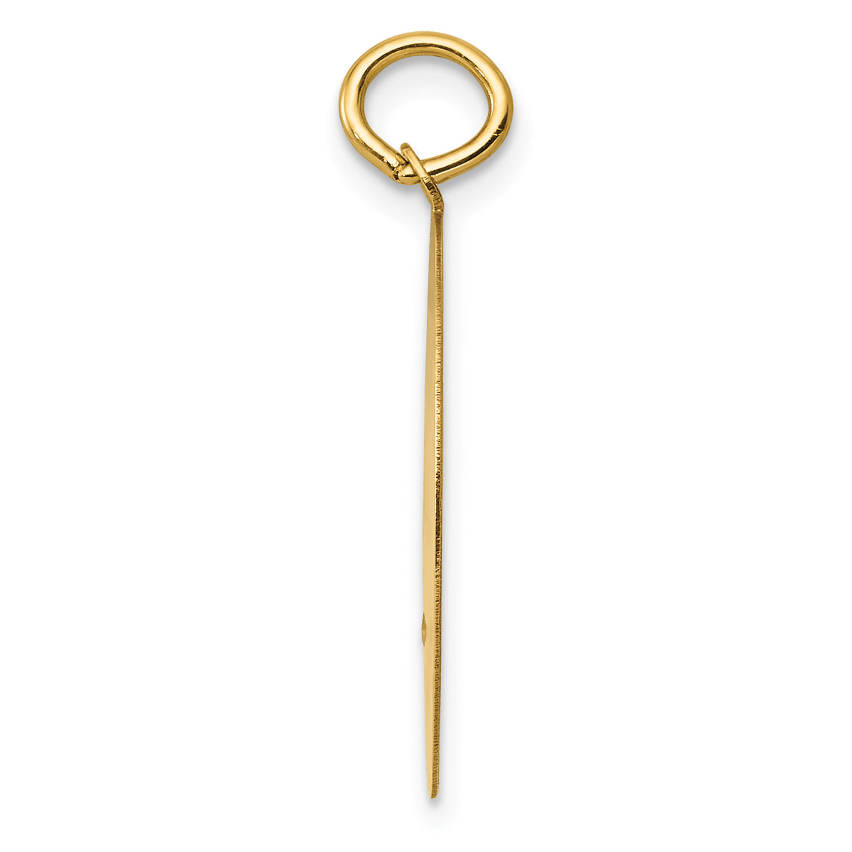 Golden Retriever Disc Charm in 14K Yellow Gold, 20mm Engravable - Sophia Jewelers