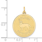 Golden Retriever Disc Charm in 14K Yellow Gold, 20mm Engravable - Sophia Jewelers