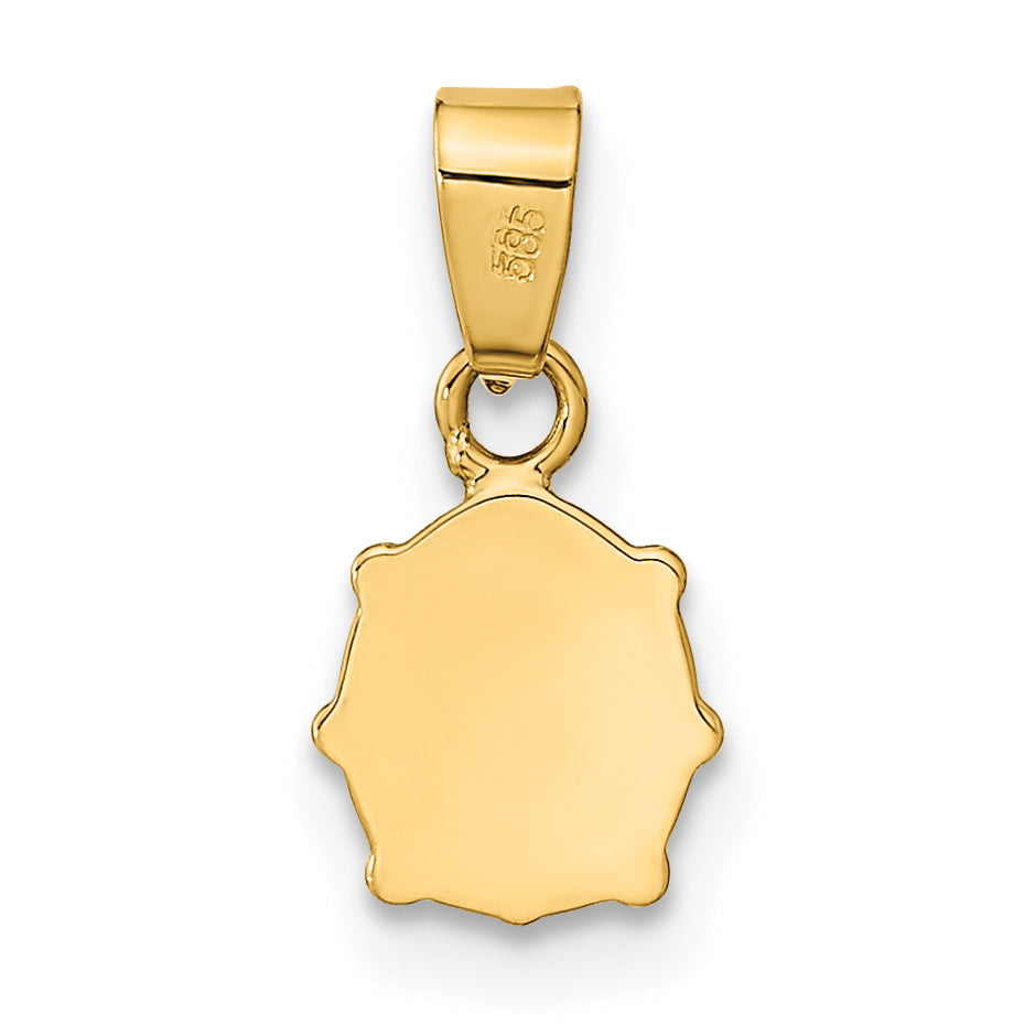 14K Polished Red/Black Enamel Ladybug Pendant