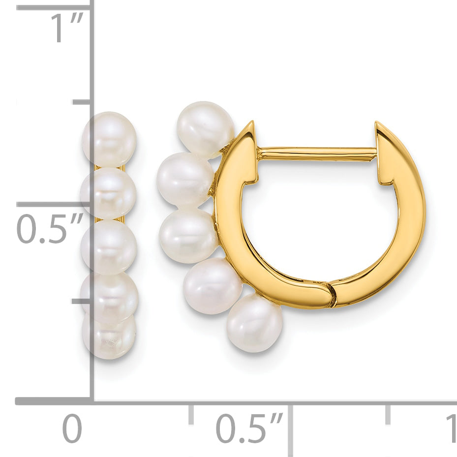 14k Polished 3-4mm Rice White South Sea Saltwater Cultured Pearl Hinged Hoop Earrings